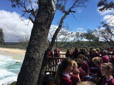 During the Gorge Walk, students were able to spot a pod of dolphins, a manta ray and even a turtle.