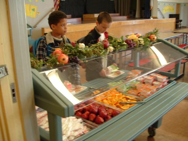 Healthy Schools Project Build life-long attitudes and skills that foster healthy food choices Promote the National School Lunch program Increase awareness of the relationship between