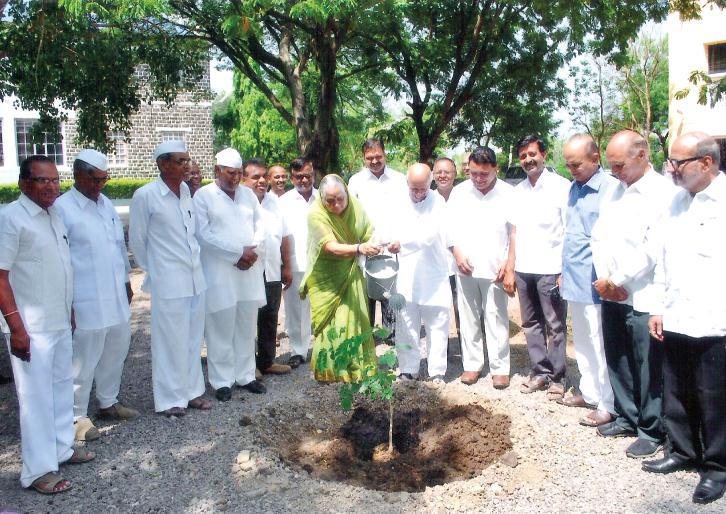 Title of Activity: Tree Plantation Date: 12/12/2014 Collaboration: NSS Unit R. B. N.B. College and Rayat Shikshan Sanstha, Satara. Venue: R. B. Narayanrao Borawake College, Shrirampur 1.