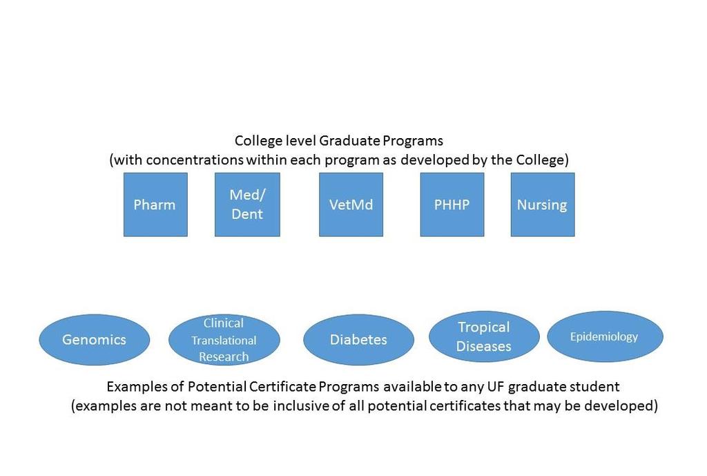Faculty in thematic areas of research should develop Graduate Certificate Programs.