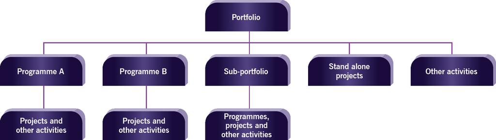 Projects in the context of Portfolios and Programmes Stand-alone Projects Projects within Programmes Projects within a Portfolio Page 11 - Figure