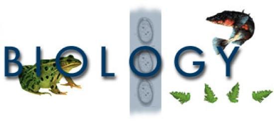 AP Biology Class Policies 2014-15 Ms. Wambold- Room 204 Email: nwambold@washoeschools.net Web Page: http://mswambold.weebly.