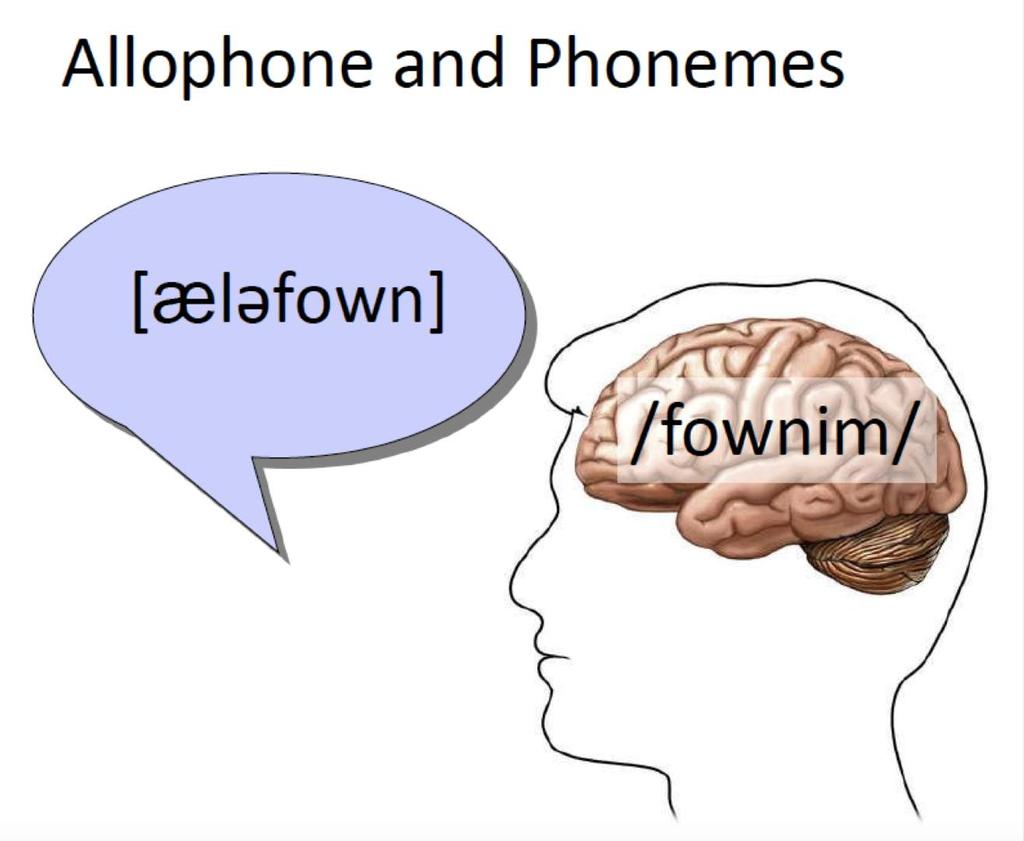 Phonology is concern with an abstract or mental aspect of the sounds in a language rather than the physical articulation of the speech sound