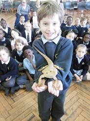 The children met and learned about a bearded dragon, a scorpion, stick insects and a Burmese python amongst others.
