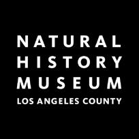 MUSEUM OF LOS ANGELES COUNTY TO BUILD A SPECTACULAR GLASS ENTRANCE PAVILION FOR ITS NEW NORTH CAMPUS Magnificent 63-Foot Fin Whale