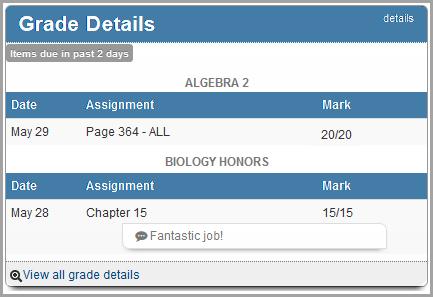 Grade Details Appendix: Parent Information The Grade Details pane displays grades for your child s assignments that were due (homework) or completed (classwork, quizzes, tests) in the past two days.