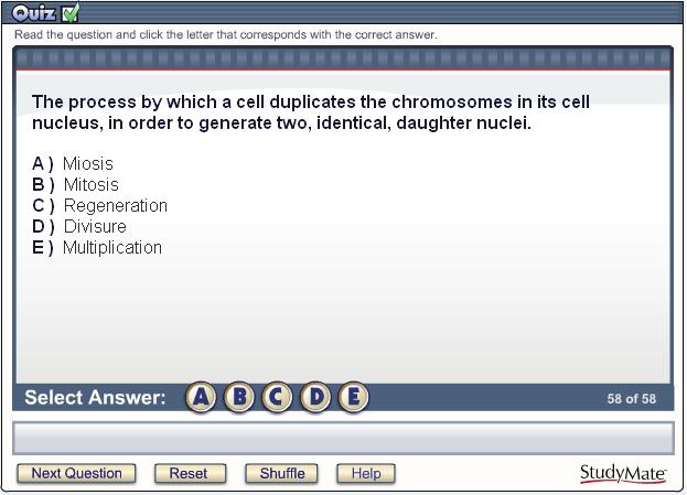 The Multiple Choice template links to the following activities on the View tab: Quiz - displays a multiple choice question with the question wording at the top and answer choices below it.
