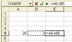calculation formula in the cell "C5" using the following