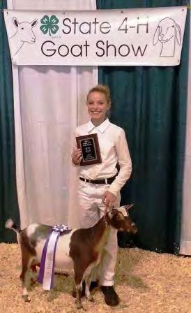 STATEWIDE NEWS AREA 2017 Michigan 4-H State Goat Show 17 This exciting, hands-on opportunity presented by Michigan State University (http:// www.msu.edu) Extension (http://msue.anr.msu.edu) 4-H Youth Development (http:// msue.
