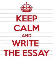 The Essay Beyond the Numbers and Statistics Sample of the student s writing Student steps off the page Insight into