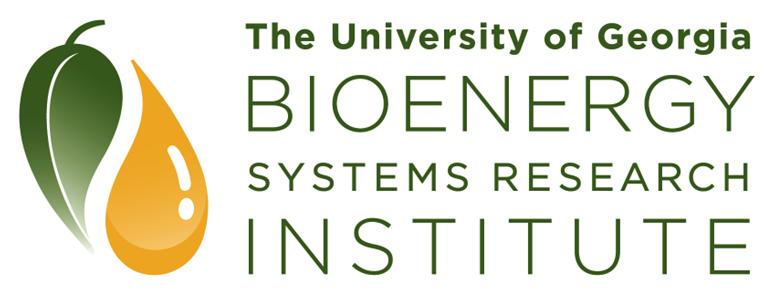Bioenergy Systems Research Institute Renewable energy for independence and