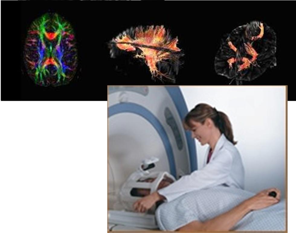 MRS, MRA, DWI, DTI, MEG, EEG Tissue samples, small animals, brain