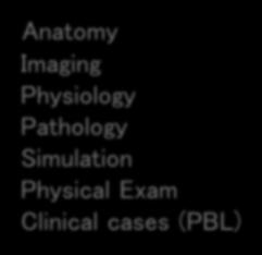 org UCLA Own PPT Anatomy Imaging