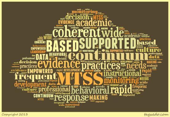 In Review What are the big ideas about MTSS that you have gleaned from our time