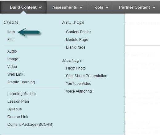 a Syllabus menu item and the folder that includes required syllabus content and course outcomes.).