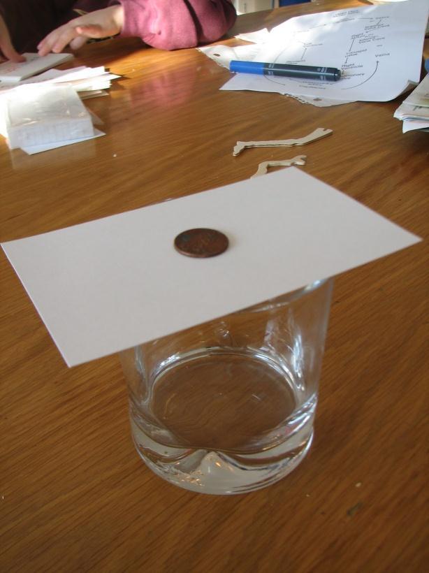 Engage: Newton s Laws 1 st Law Penny Card Flick Investigation Place the index card on top of the small glass. Place the penny on top of the index card.