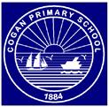 Policy Equal Opportunities This is to confirm that the Governing Body of Cogan Primary School has accepted