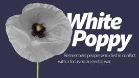 contribution to the war effort; the white poppy commemorates the