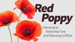 challenges the way we look at war; and of course the red poppy which