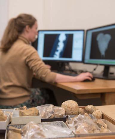 Research The Museum will use its collections to sustain internationally leading research on taxonomy and systematics, palaeobiology, biodiversity, conservation and ecosystem services, and Earth