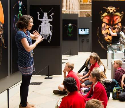 Public Engagement & Education The Museum will maintain its sector-leading status as a provider of high-quality education for schools and families, and will expand its provision in the area of adult