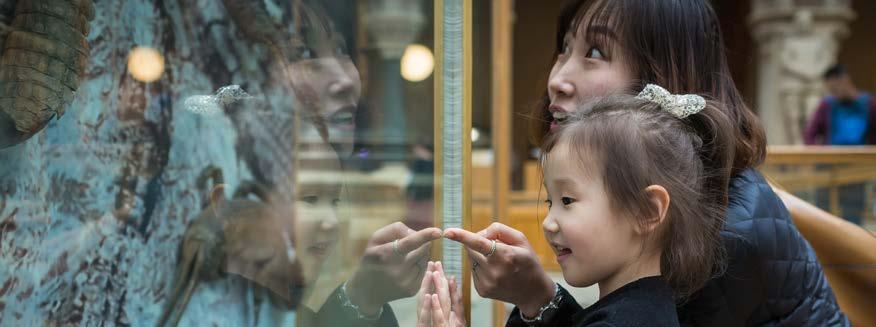 Extend the reach of family programming Develop the family programme to enhance the diversity of Museum audiences, including those with children who have a range of needs and abilities, for example