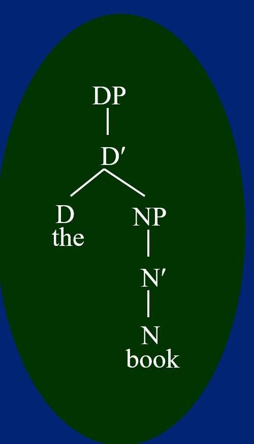 Some clarifications A caution note about DP and the old term noun phrase : You will find that people are not as precise about DP as they should be even the textbook will frequently refer to noun