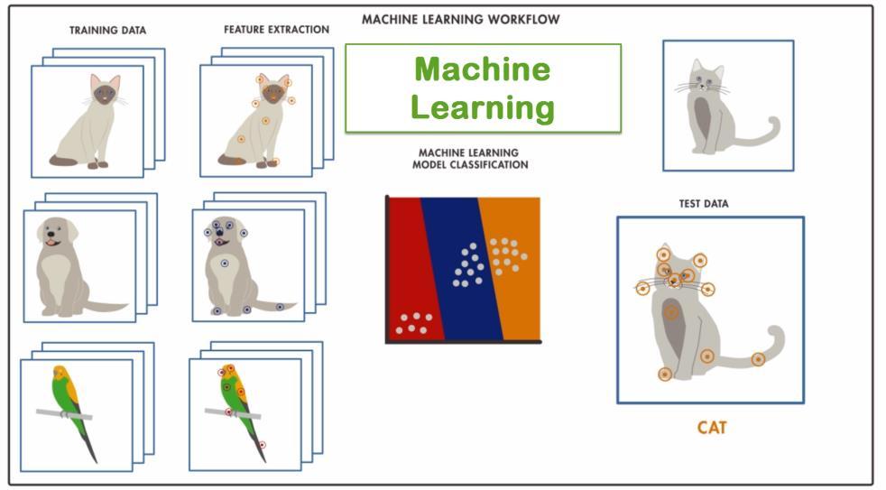 Research Machine Learning (ML) Look at a cat, a dog or a parrot Learning for many images of animals as