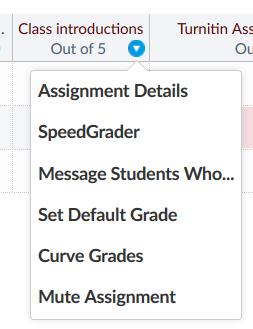 HIDE ASSIGNMENT SCORES WHILE GRADING For certain assignments, you might want to hide the scores as you are entering them into the gradebook, until you have them all entered and are ready to display