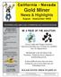 Gold Miner News & Highlights