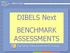 DIBELS Next BENCHMARK ASSESSMENTS