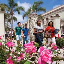 The University of San Diego 2020 Strategic Plan for Diversity and Inclusive Excellence identifies six terrains that establish vision and goals for inclusion, equity and pluralism for the university.
