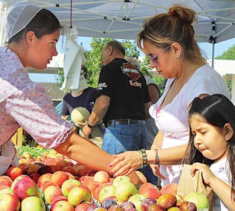 It connects to numerous efforts, including the Healthy Option program that offers vouchers that allow qualifying families to purchase food that is healthy, fresh, and locally grown at Adams County