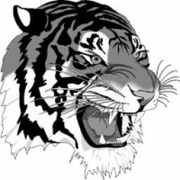 Living Word Christian School PROMOTING GODLY KNOWLEDGE, WISDOM, AND INTEGRITY SERVING GRADES 1 12 SINCE 1995 SCHOOL COLORS NAVY AND BURGUNDY SCHOOL MASCOT TIGER HELPFUL INFORMATION Address: 2900