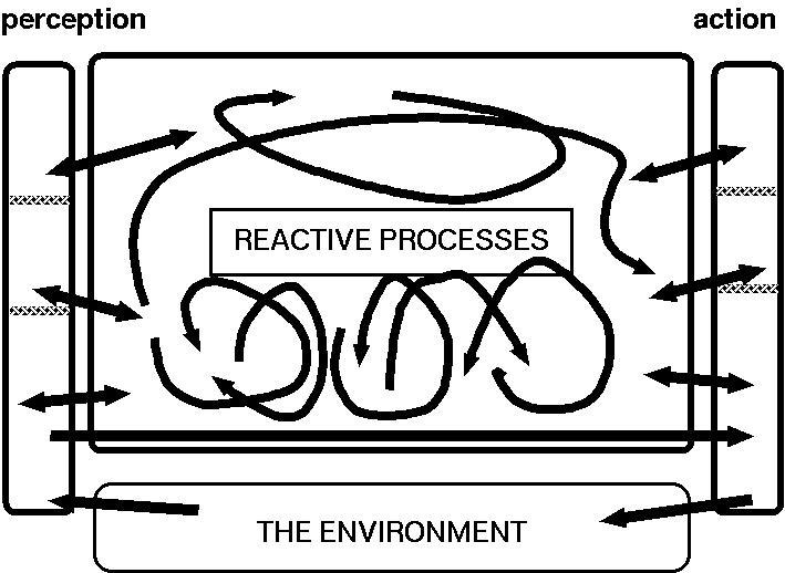 A simple (insect-like) architecture A reactive system does not construct complex descriptions of possible futures evaluate them and then choose one. It simply reacts (internally or externally).