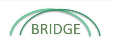 BRIDGE: Tools for science-policy communication Planning tools