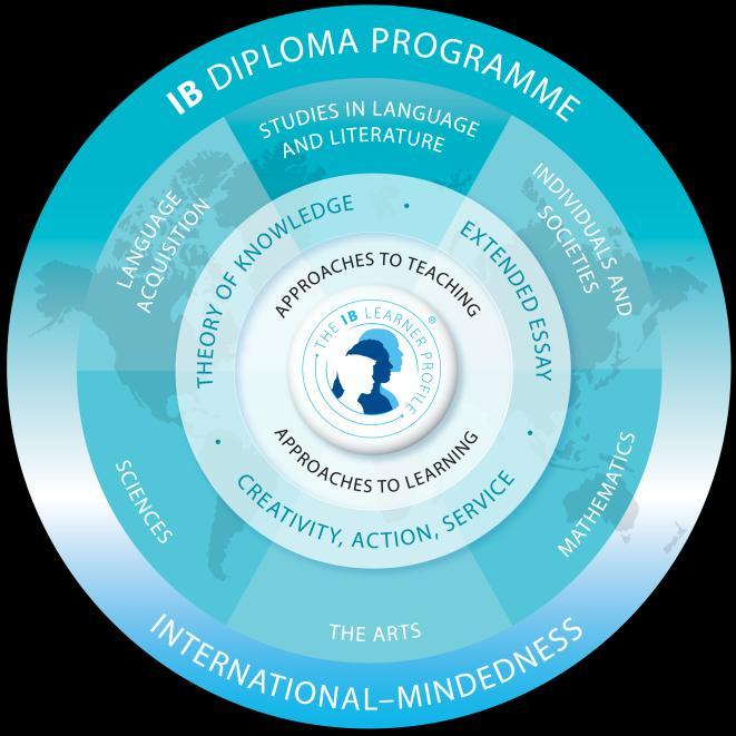 The Diploma Programme (DP) The new DP model differs from the old DP model in the following ways: The shape of the model changes from a hexagon to a circle to align with the other programme and the IB