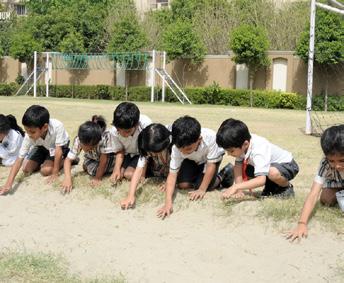 Activities are conducted to understand the biodiversity and how should we protect our nature plants, animals and