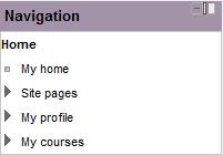 The navigation menu is shown to the left with options to click on My Home, Site Pages, My Profile and My courses.