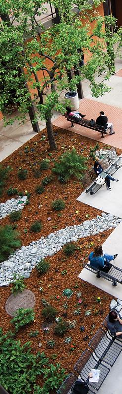 CSULB is committed to maintaining its beautiful and safe campus.