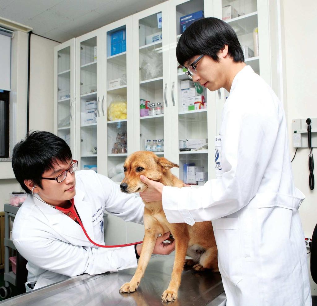 College of Veterinary Medicine New paradigm in animal research The College of Veterinary Medicine provides education on animals' life-cycles from birth to death with an emphasis on zoonosis,