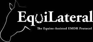 EquiLateral : Part II* The EquiLateral Best Practices Group *Note: Part II is not required for Equilateral training but is considered key to the successful implementation and integration of the