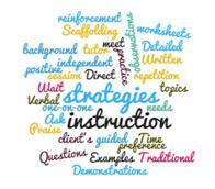 Theme 7: Various Instructional Strategies are used
