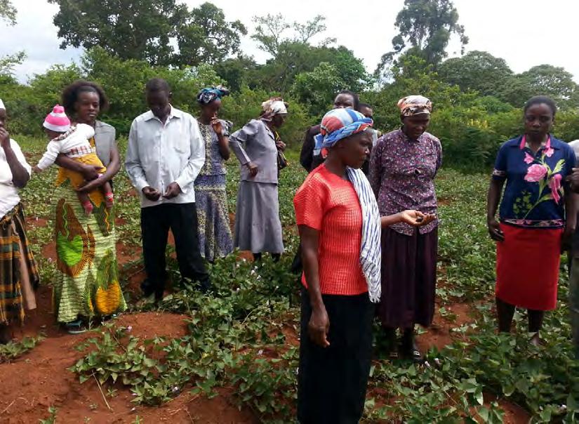 Critical factor: well-functioning and gender sensitive farmer groups/associations Both ADS North Rift and ADS Western promote the establishment of farmer organisations.