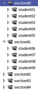 Organizing Submissions by Section Organizes each student s submissions into a separate folder for each section.