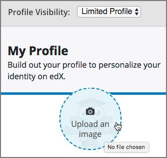 (b) In the file navigation window, select the image file that you want to use as your profile image, and then click Open.