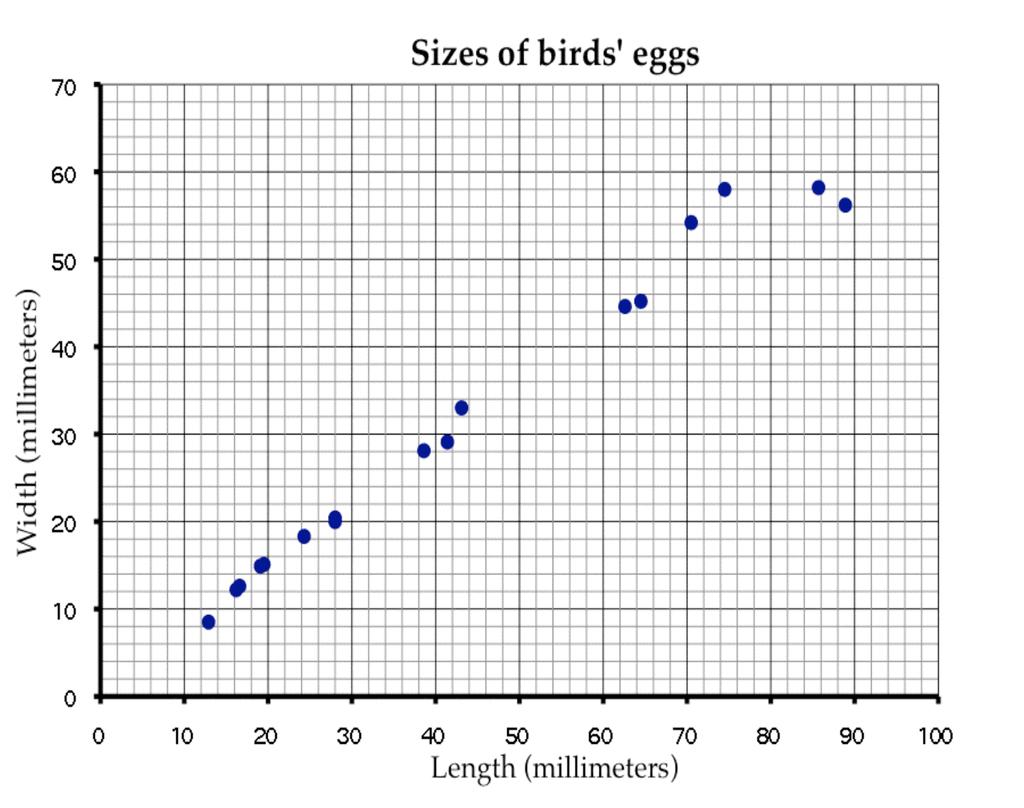 Birds Eggs This scatter diagram shows the lengths and the widths of the eggs of some American birds. C D B E A 1.