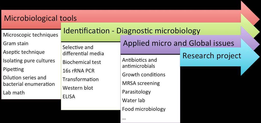 Course Overview This is an undergraduate laboratory course to learn and explore a variety of microbiological techniques, skills and concepts.