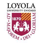 101. WELCOME LETTER FROM THE VICE PRESIDENT OF STUDENT DEVELOPMENT Dear Loyola Student: It is my privilege to welcome you (back) to Loyola University Chicago.