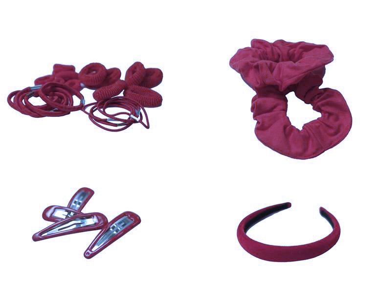 Other accessories which may be purchased by